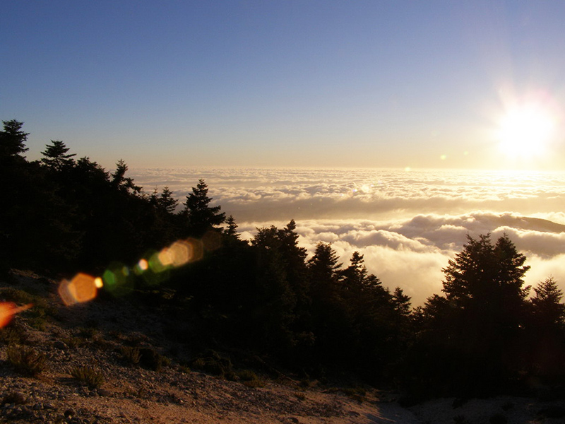 Mount Aenos jeep hiking trip in Kefalonia, Greece